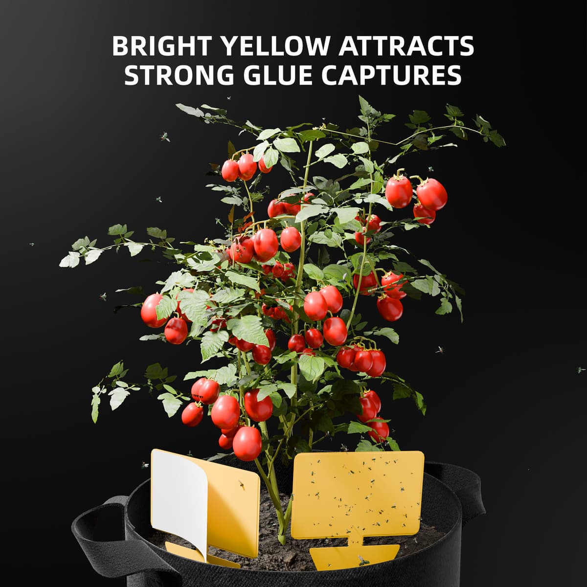 Spider Farmer 9-in-1 - Työkalupakki - Oleellinen setti sisätilojen puutarhanhoitoon - 10