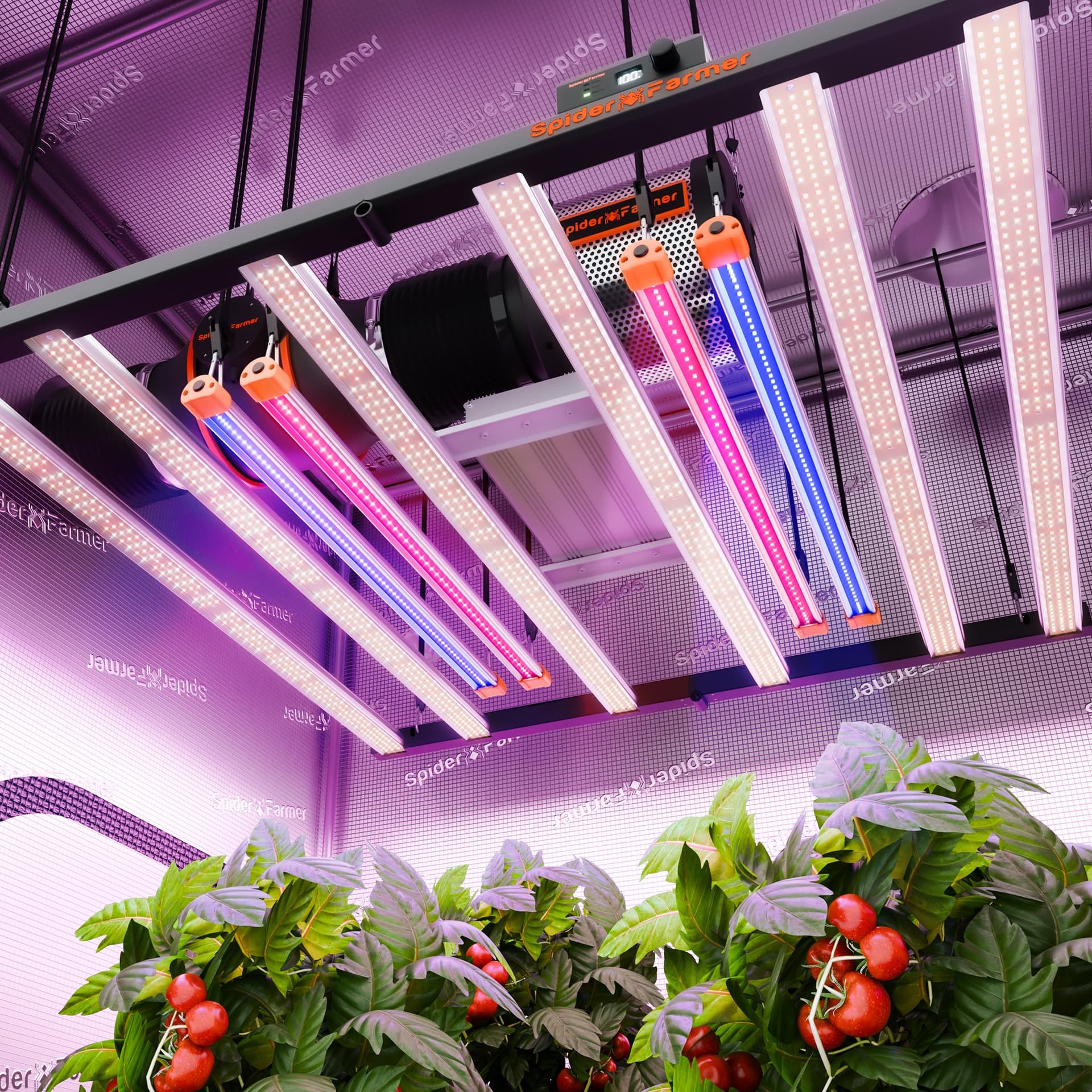 Spider Farmer UV30 & IR16 LED Kweekverlichting Bar Set 60cm - Upgrade je Kweekruimte - 1