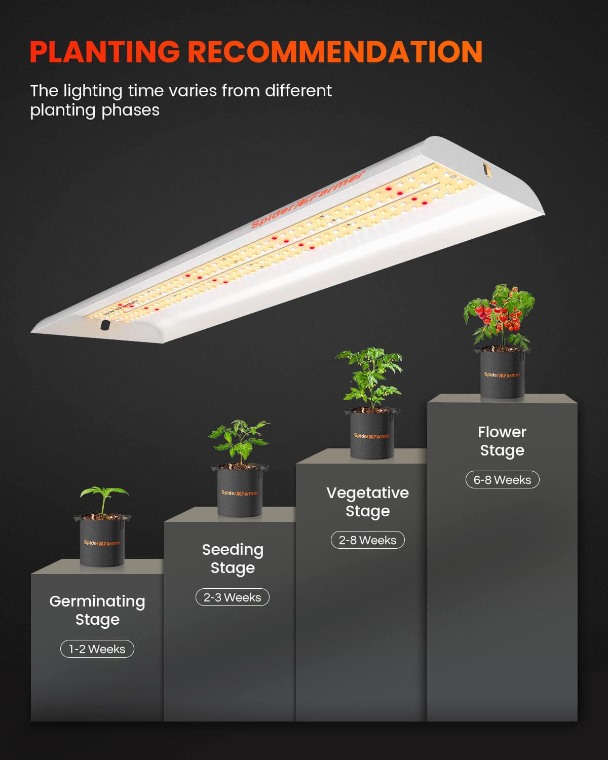 Spider Farmer SF300 33W lampă LED de creștere - Eficiență Ridicată pentru Răsaduri și Plante de Legume - 5