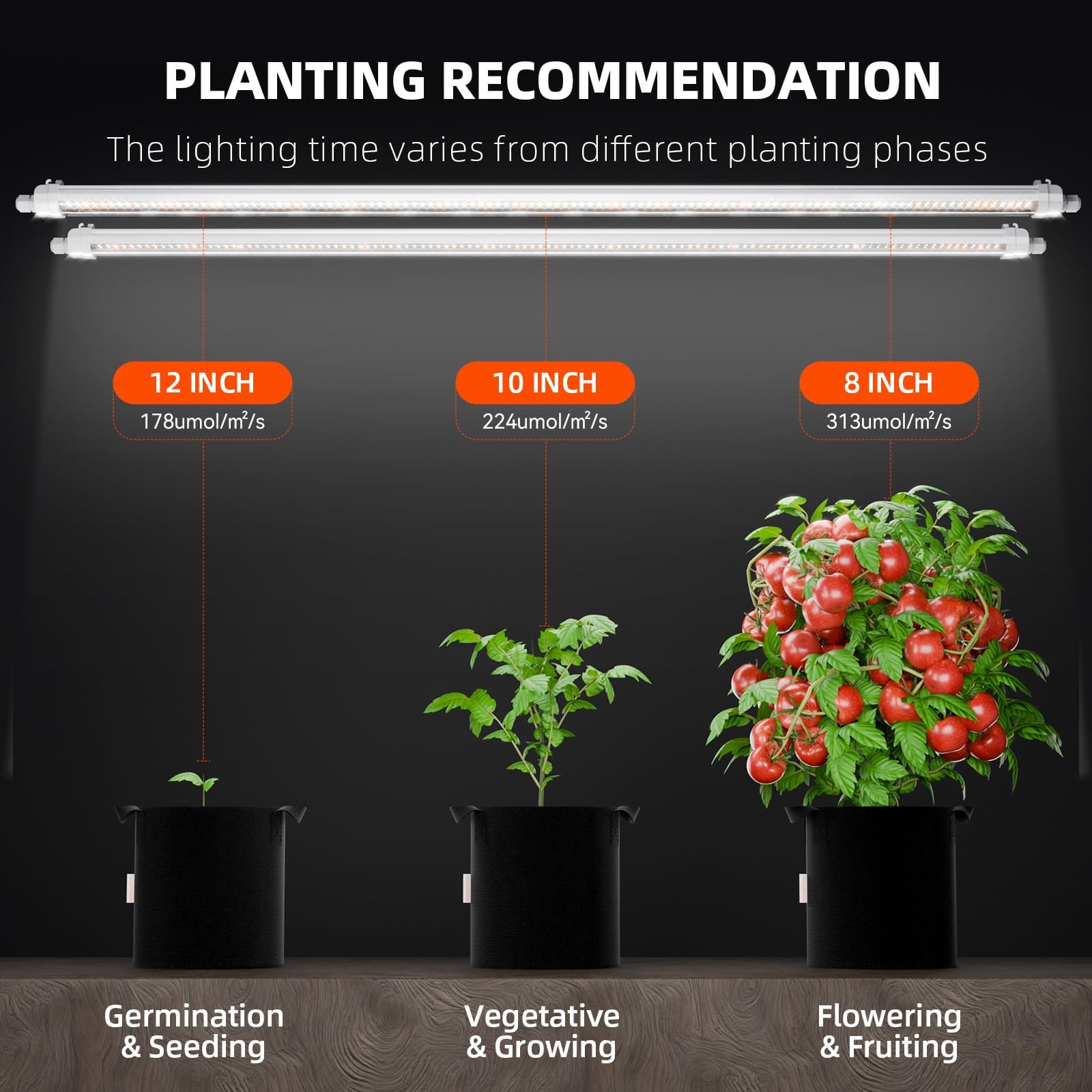 Spider Farmer Glow80 80W Barras de Luz LED para Cultivo - Espectro Completo para Todas as Plantas - 5