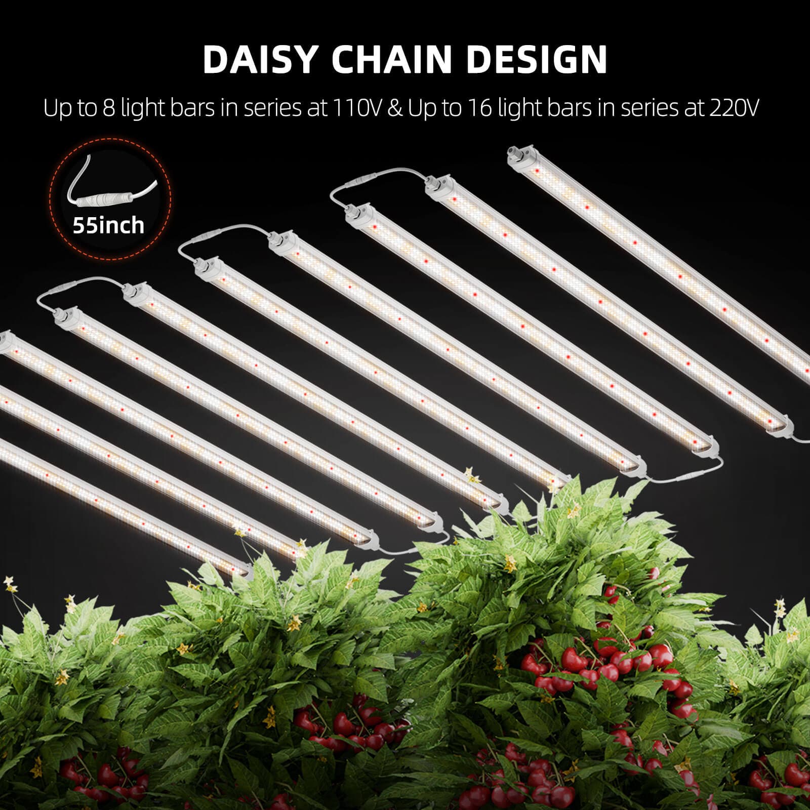 Spider Farmer Glow80 80W Barras de Luz LED para Cultivo - Espectro Completo para Todas as Plantas - 6