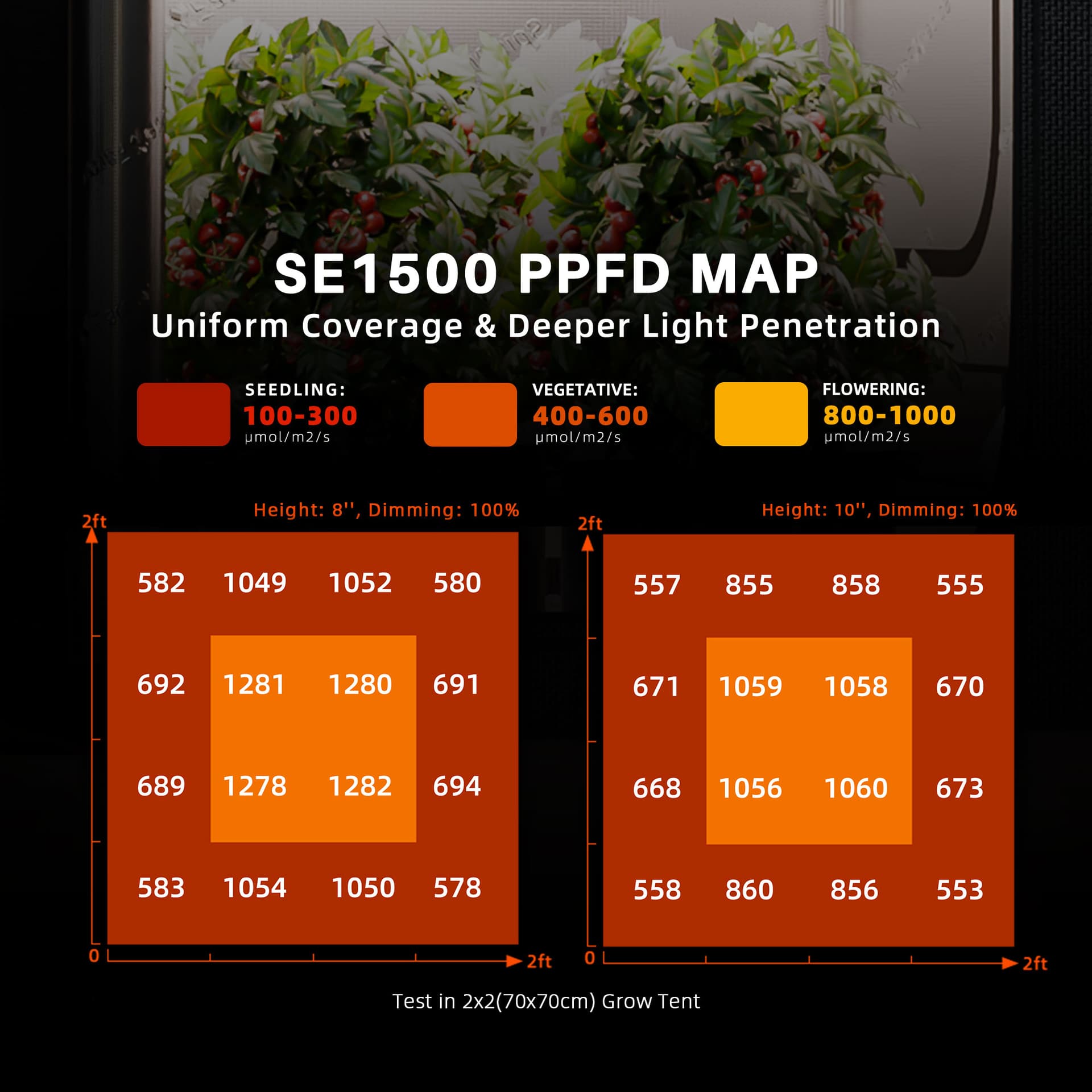 Spider Farmer SE1500 EVO 150W LED φως καλλιέργειας - Συμπληρωμένο Set Ανθογενετικής Σκηνής - 2