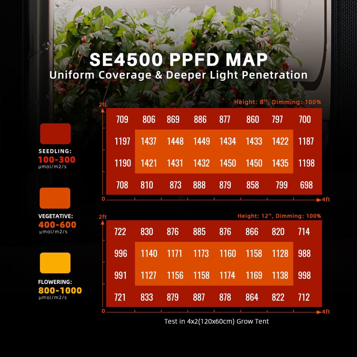 Spider Farmer 70x140x200cm Komplett Grow Tent Kit - Inomhus Växtodling - 2