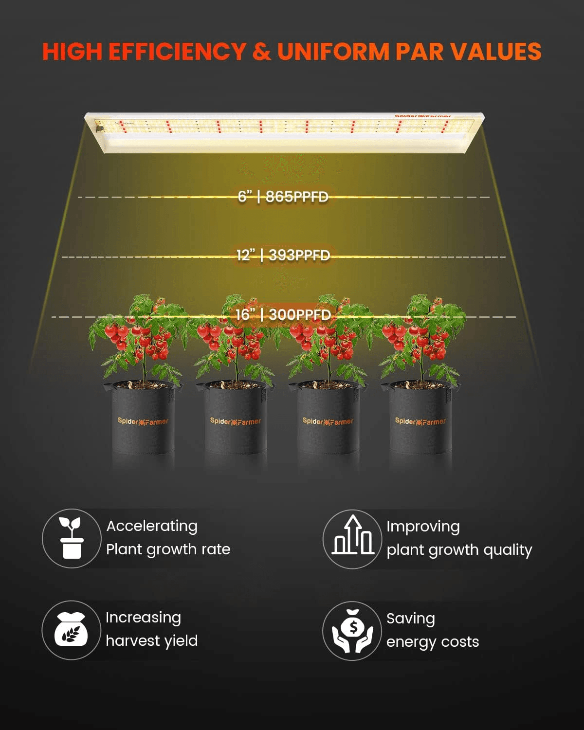 Φωτισμός Spider Farmer SF600 74W LED – Πλήρες Φάσμα για Φυτά & Μικρά Χώρα - 4