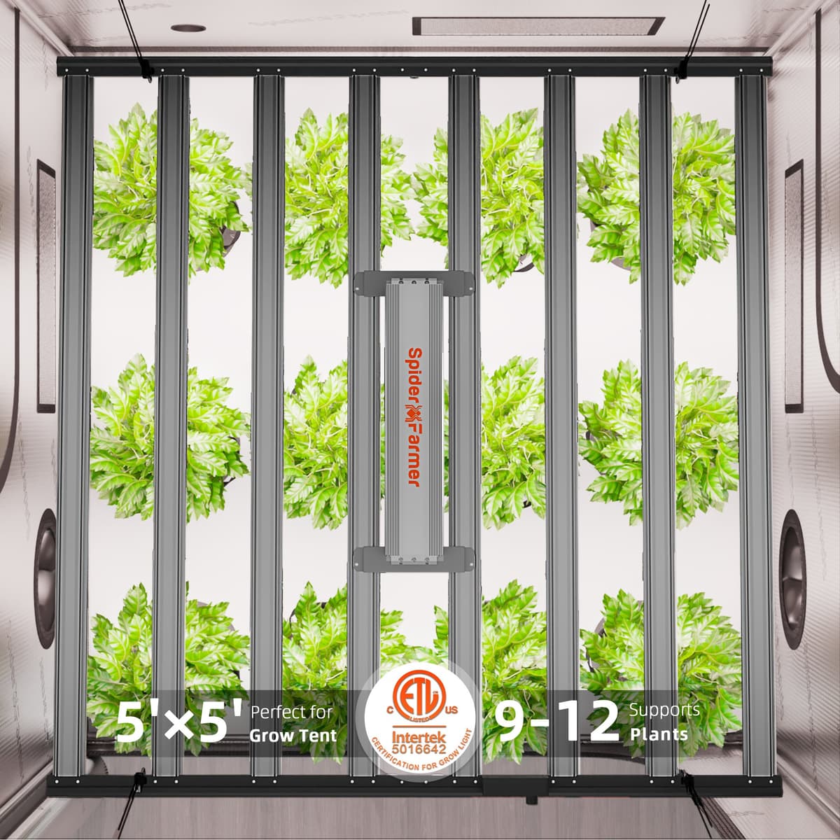 Spider Farmer G1000W WiFi LED Växtlampa - Full Spectrum för 150x150cm Tält - 7