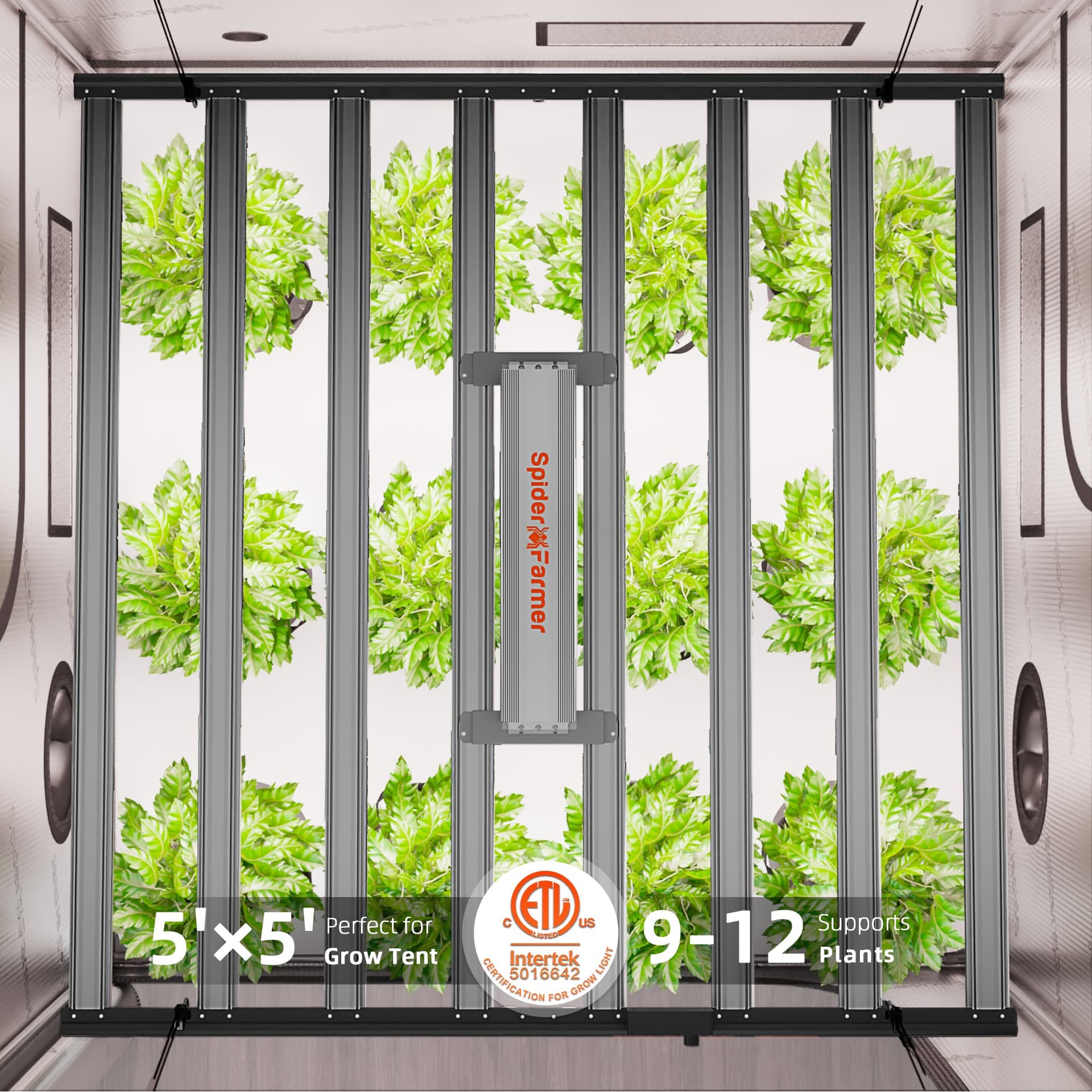 Lâmpada LED para Cultivo Spider Farmer G1000W WiFi - Espectro Completo para Tenda de 150x150cm - 7