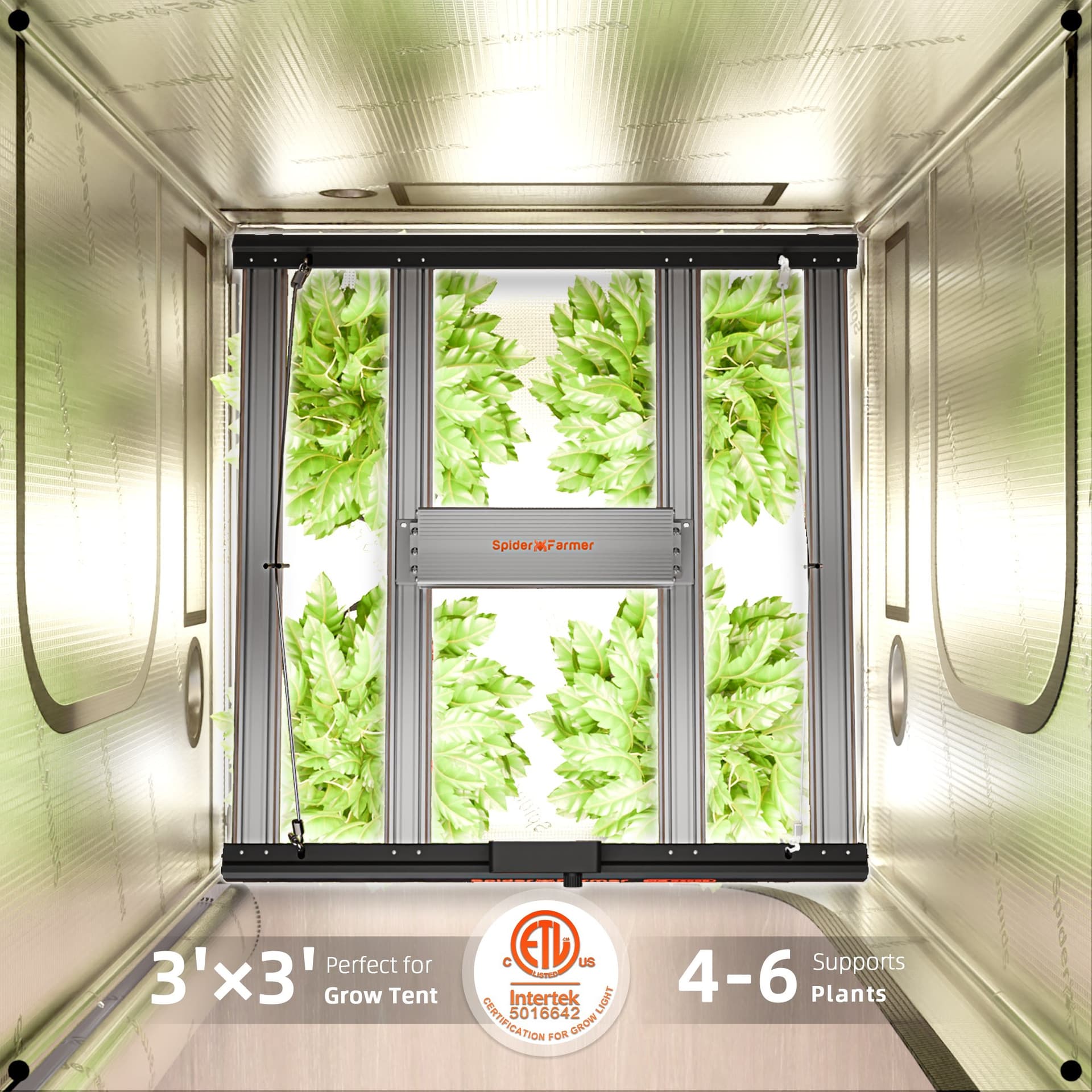 Lampa LED Spider Farmer G3000 300W WiFi/Bluetooth - Spectru complet pentru corturi de cultivare 60x60cm–90x90cm - 8