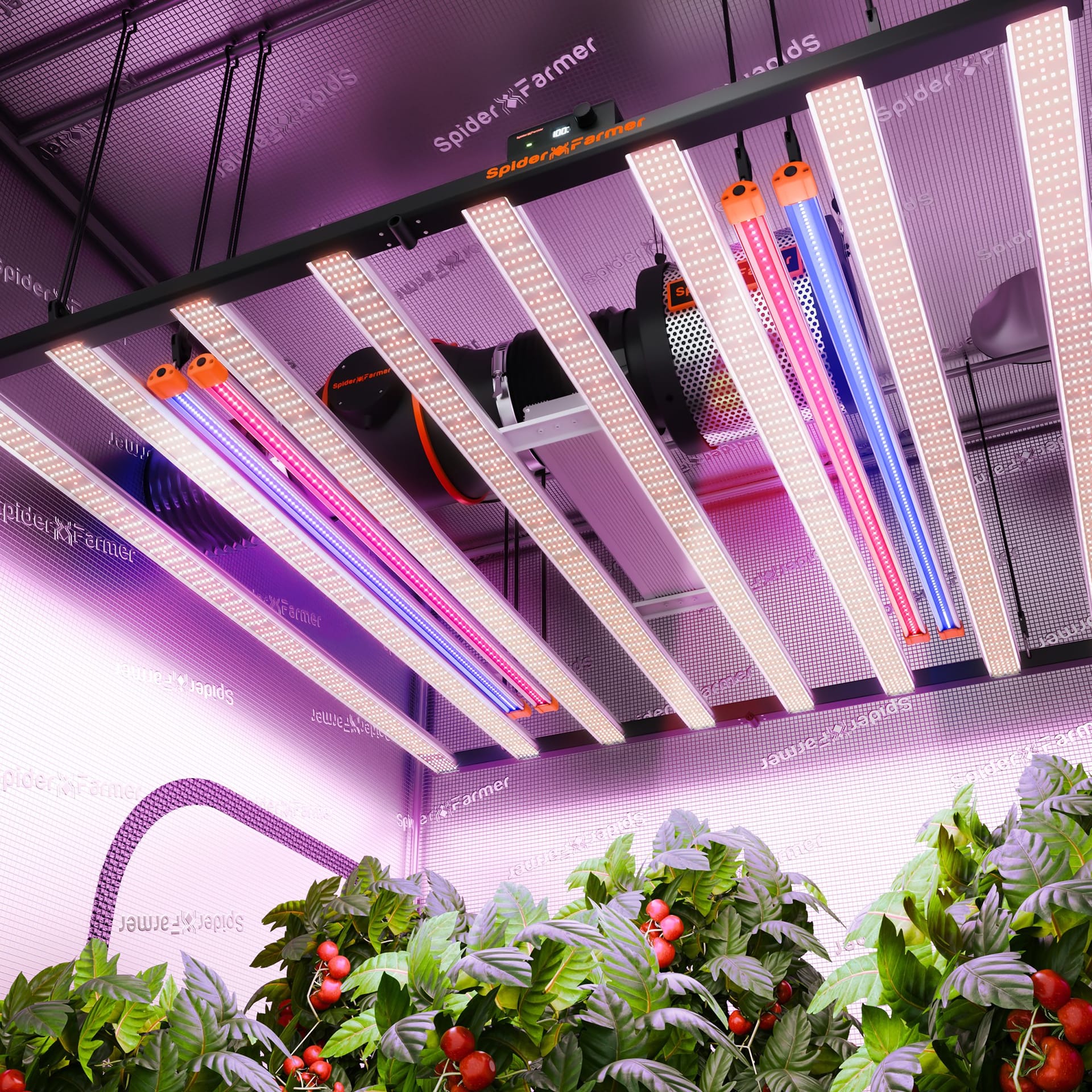 Conjunto de Barras de Luz de Crescimento LED Spider Farmer UV60 & IR30 - Crescimento Aprimorado para Plantas de Interior