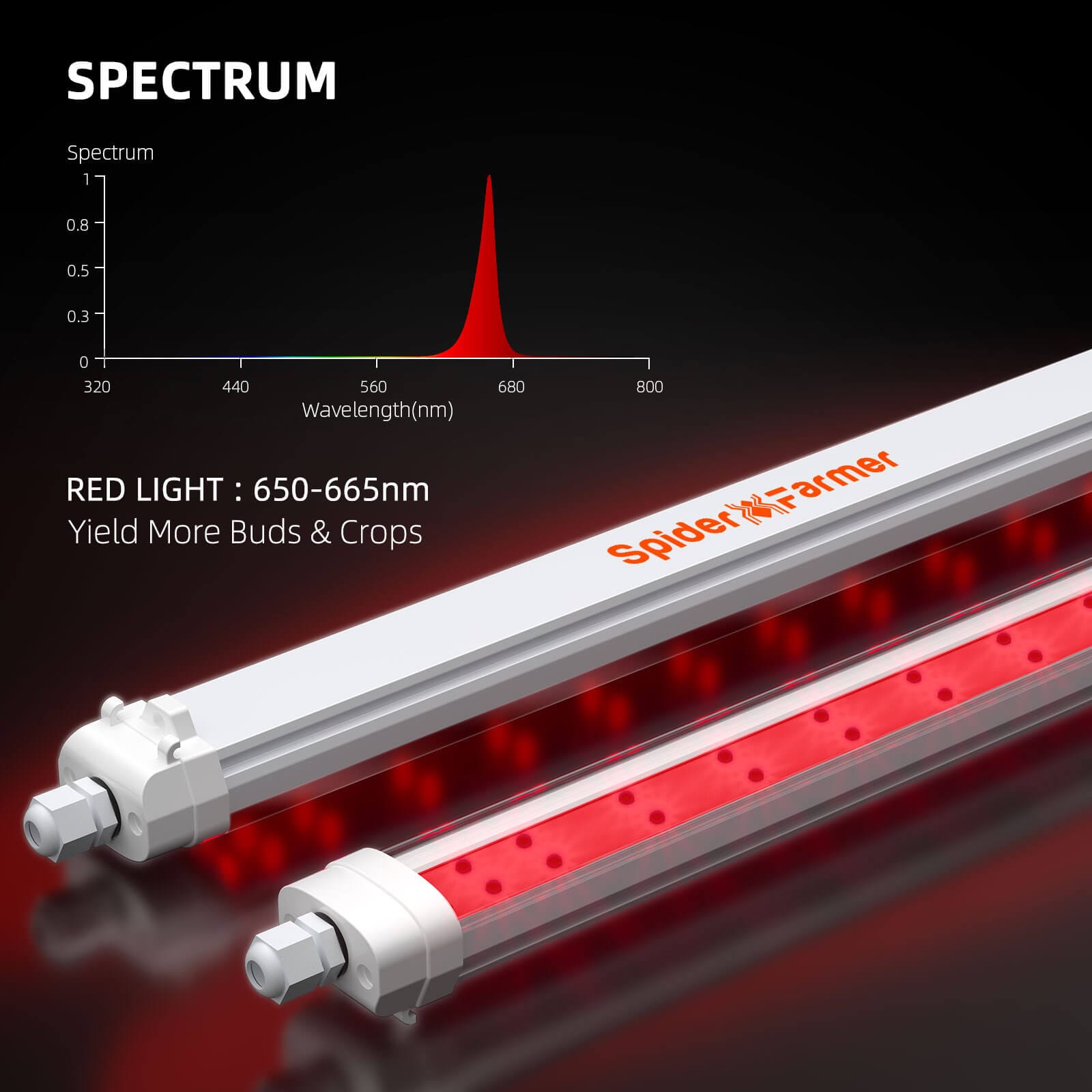 Spider Farmer GlowR80 80W Κόκκινο Φάσμα - Ενίσχυση Ανθισμάτων για Εσωτερικά Φυτά - 5