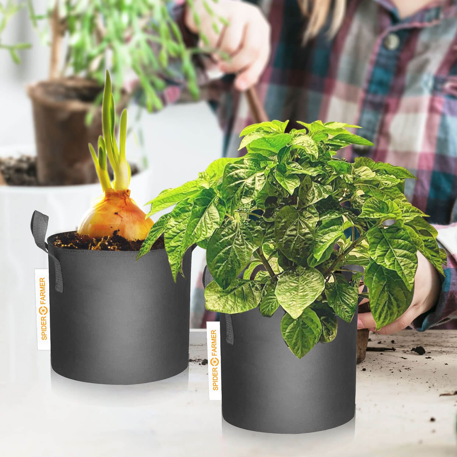Bolsas de Cultivo em Tecido Spider Farmer de 10 Galões - Vasos Respiráveis e Reutilizáveis - 8