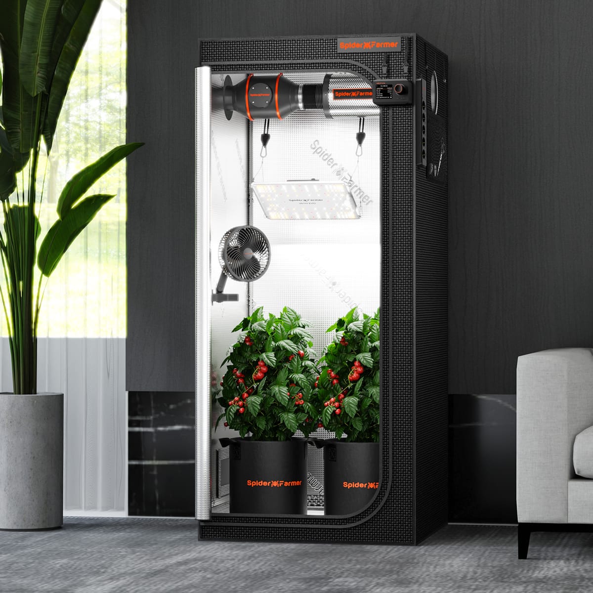 Spider Farmer 70x70x160cm Stends Augiem - Optimāla Klimata Kontrole Augiem - 6