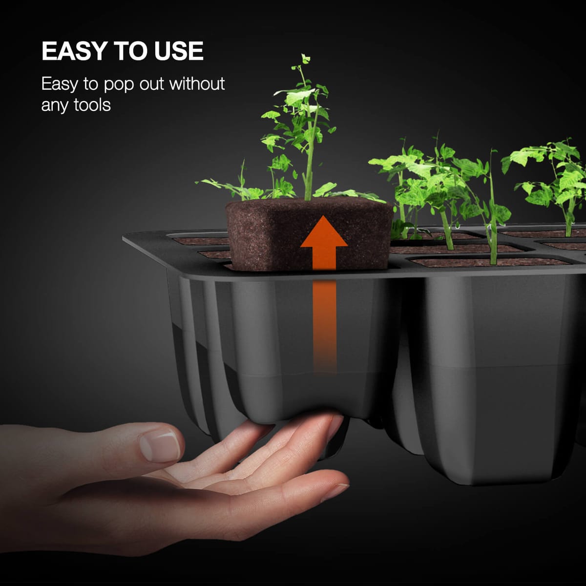 Set de 4 suporturi pentru semințe Spider Farmer cu dome - Perfecte pentru răsaduri - 3