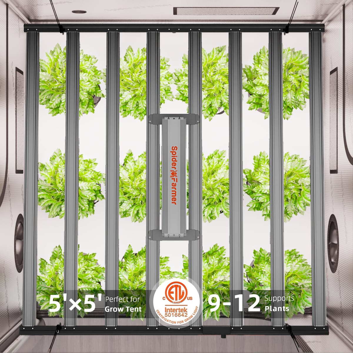 Spider Farmer G1000W WiFi LED Växtlampa - Full Spectrum för 150x150cm Tält - 7