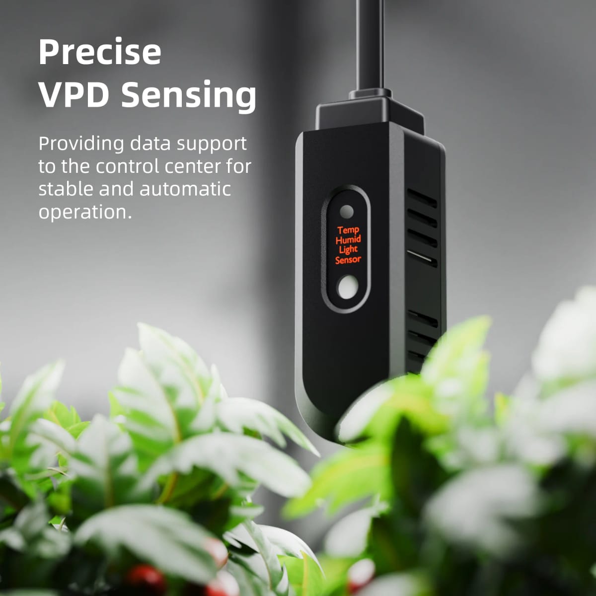 Spider Farmer GGS Klimaregler – Controlador Climático Inteligente Bluetooth/WiFi para Ambientes de Cultivo - 8