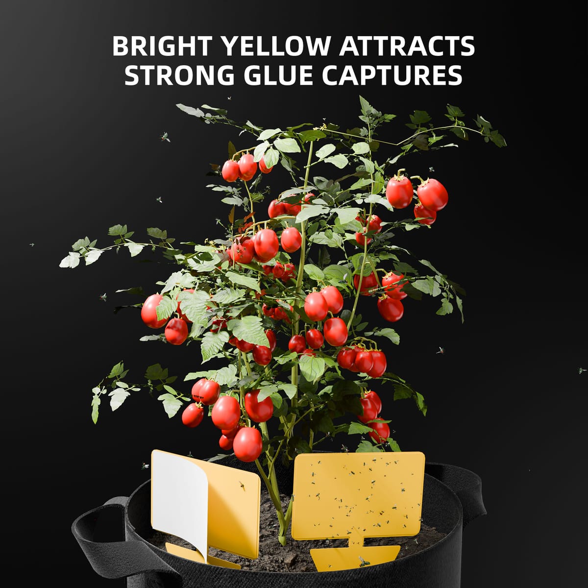 Spider Farmer – Σύνολο 5 Αδιάβροχων Φίλτρων 5 Γαλόνι + Οργάνωση 9-σε-1 – Το Τελειότερο Σύνολο για Εσωτερική Καλλιέργεια - 9