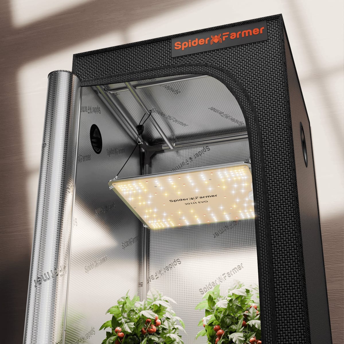 Spider Farmer SF1000 100W LED-kasvivalo + 70x70x160 cm kasvikatoks – täysspektrinen hydroponics-paketti