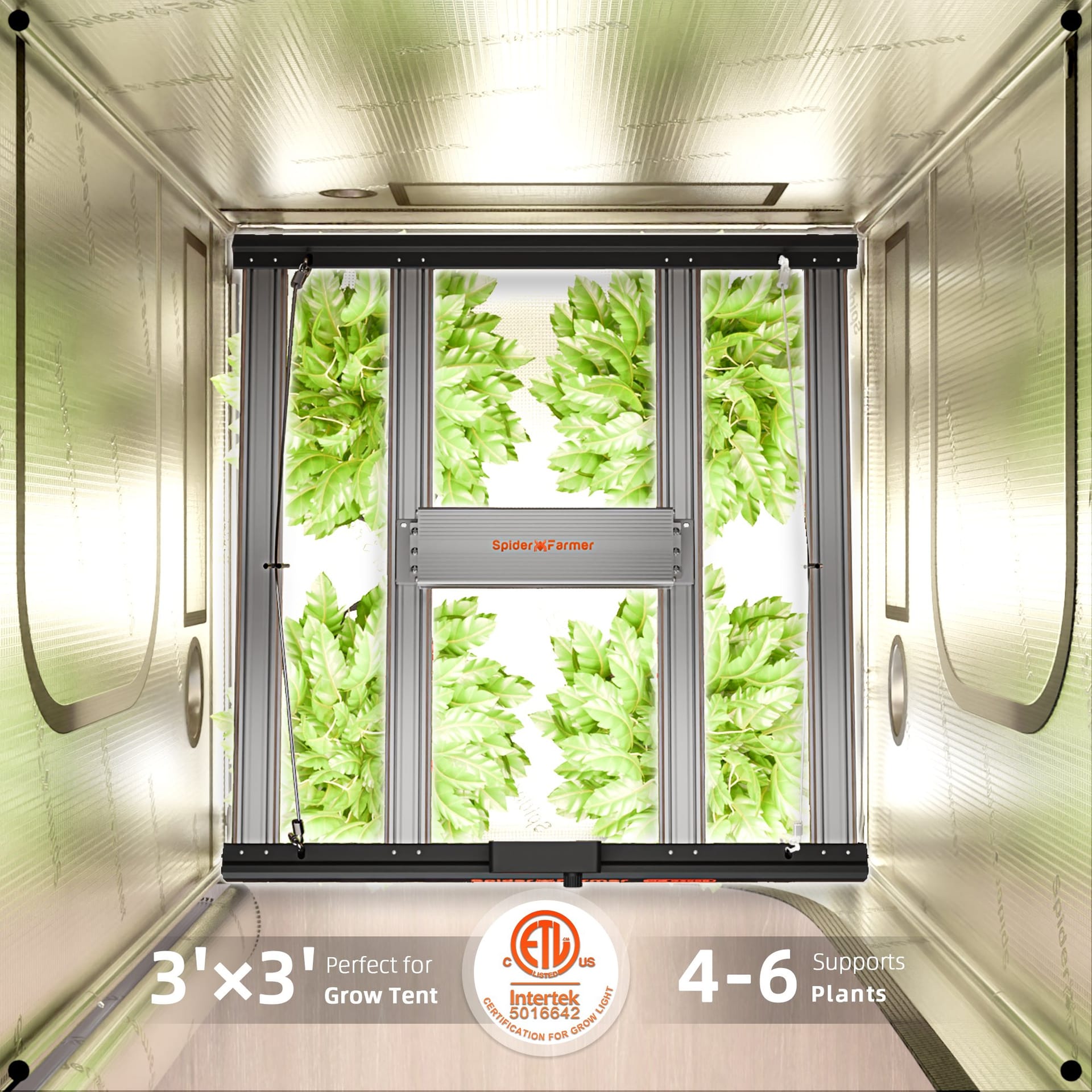 Lampa LED Spider Farmer G3000 300W WiFi/Bluetooth - Spectru complet pentru corturi de cultivare 60x60cm–90x90cm - 8