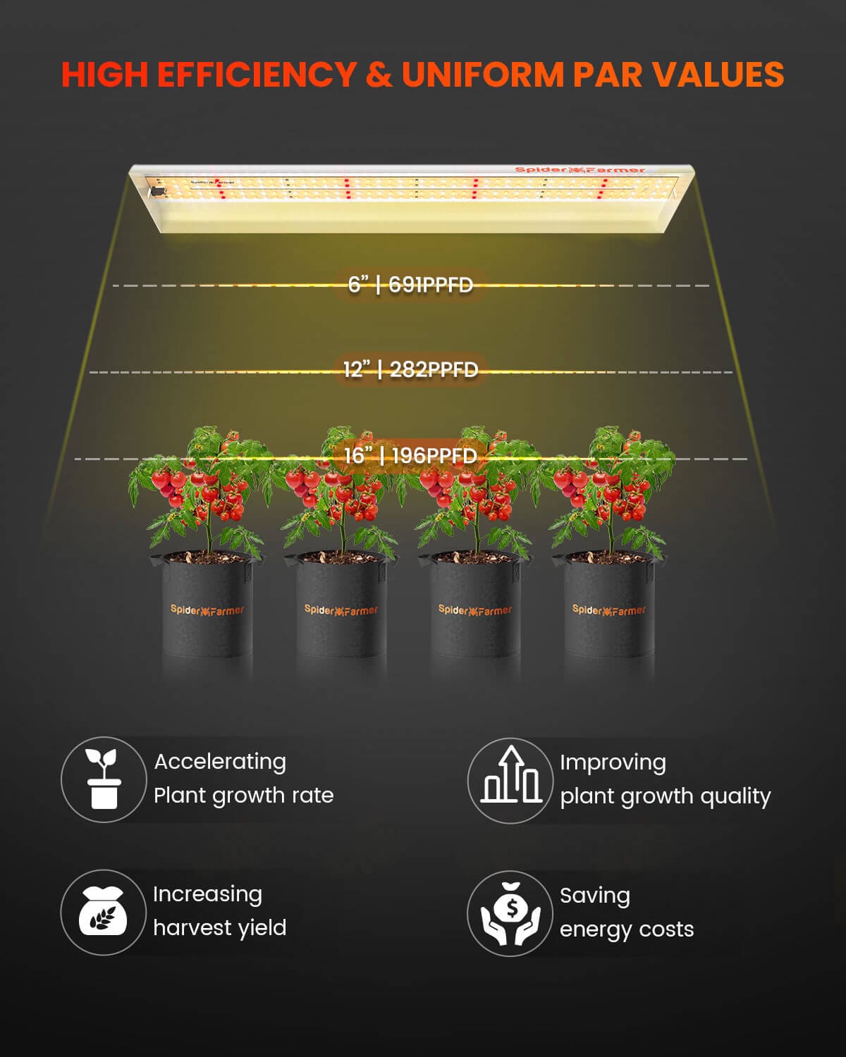 Spider Farmer SF300 33W lampă LED de creștere - Eficiență Ridicată pentru Răsaduri și Plante de Legume - 3