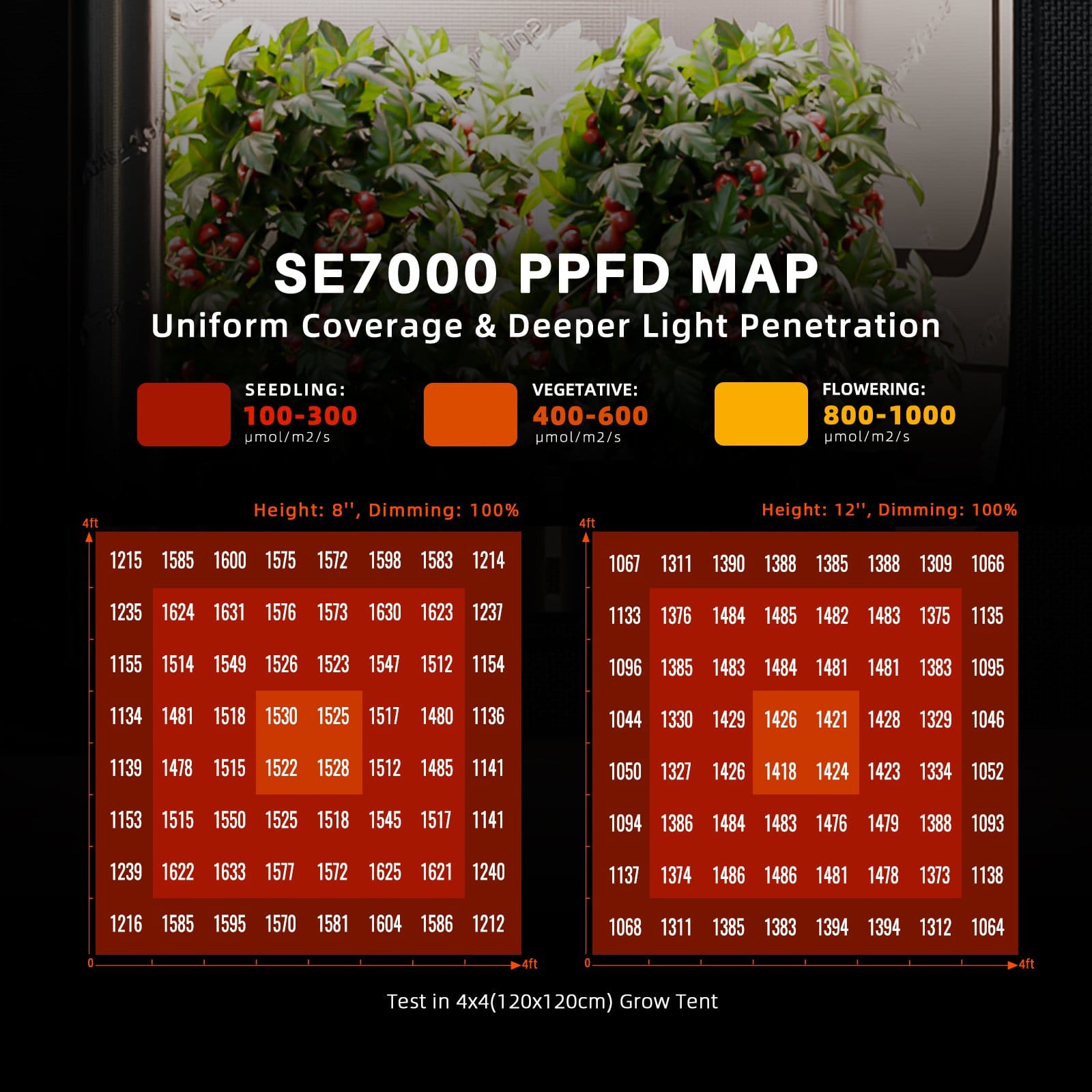 Spider Farmer SE7000 730W LED kasvulamp - Täielik 150x150cm Kasvatustelgi Komplekt - 3